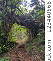 在森林裡的樹木 123440568