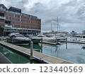 碼頭 123440569