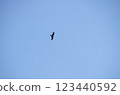風箏飛過天空 123440592
