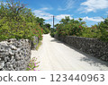 沖繩鄉村公路 123440963