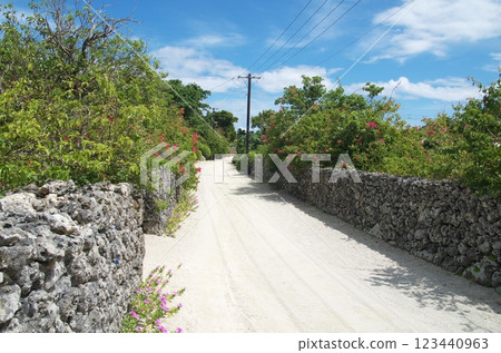 Country road of Okinawa 123440963