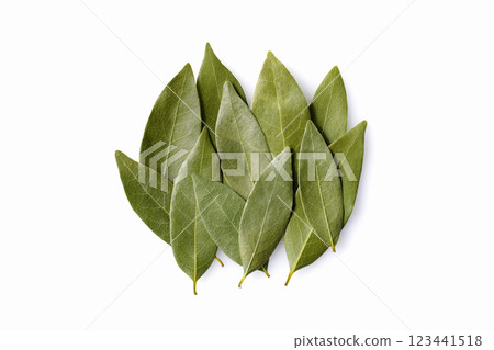 Leaves of Laurie 123441518