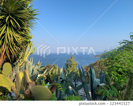 sea, island, tree 123441527