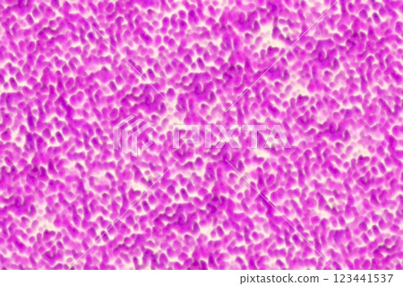 透過顯微鏡以革蘭氏染色法結晶紫染色的細胞或細菌的圖像 123441537