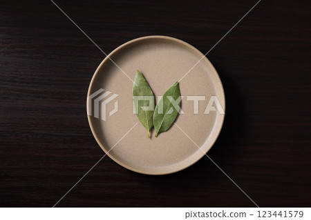 勞裡的葉子 123441579