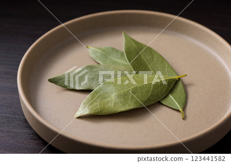 Leaves of Laurie 123441582