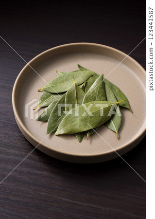勞裡的葉子 123441587
