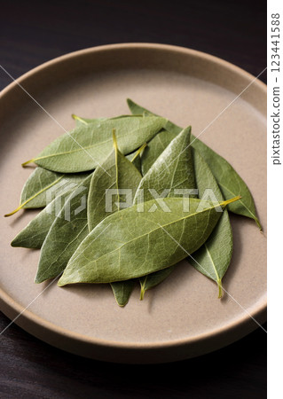 勞裡的葉子 123441588
