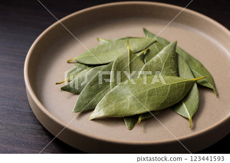 勞裡的葉子 123441593