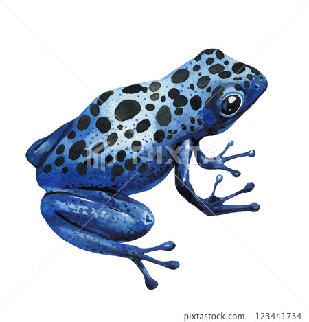 blue exotic colorful poison dart frog, tree frogs watercolor illustration isolated. Tropical wildlife amphibians clipart blue exotic colorful poison dart frog, tree frogs watercolor illustration isolated. Tropical wildlife amphibians clipart 123441734