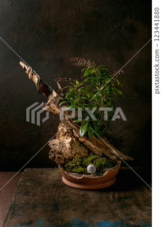 Botanical arrangement ikebana 123441880