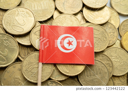 Tunisia flag on coins background, finance and accounting, banking concept. 123442122