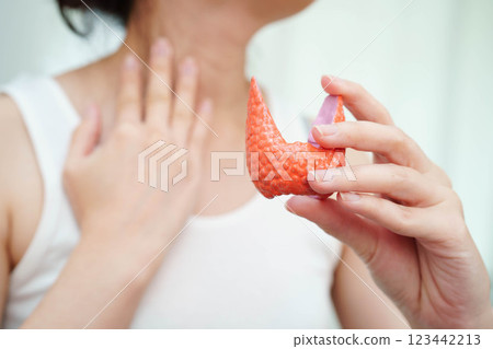 Hyperthyroidism, Overactive Thyroid, Thyroid Lymphoma, Asian woman with thyroid gland human anatomy model. 123442213
