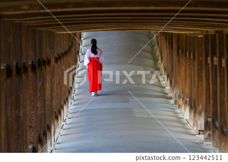 神社迴廊巫女...3 神社迴廊巫女...3 123442511