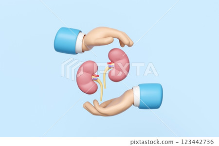 3d doctor hands protecting kidney isolated on blue background. health check, world kidney day concept, 3d illustration render 123442736