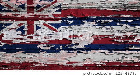 Flag of Hawaii painted on a wooden board 123442783