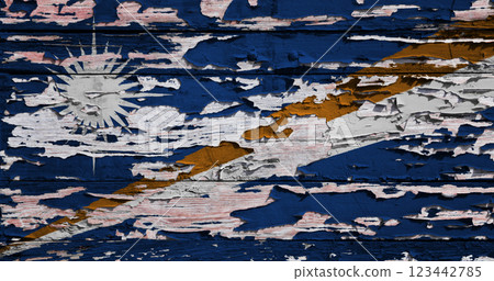 Flag of the Marshall Islands painted on a wooden board Flag of the Marshall Islands painted on a wooden board 123442785
