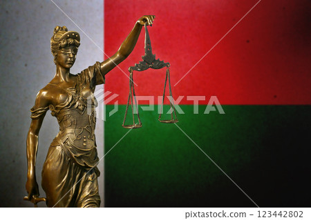 Lady Justice before a flag of Madagascar Lady Justice before a flag of Madagascar 123442802
