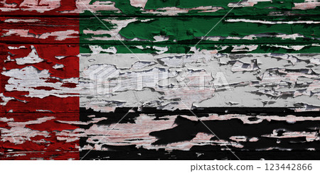 Flag of the United Arab Emirates painted on a wooden board 123442866