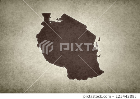 Map of Tanzania printed on an old paper 123442885
