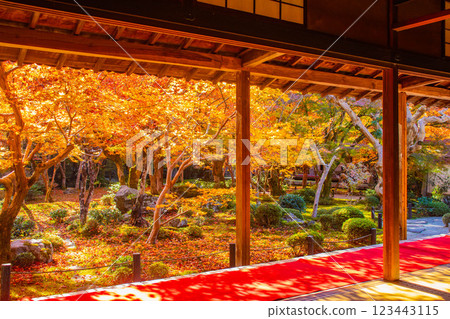 【京都風光】圓光寺~讓人流連忘返的絕美紅葉 【京都風光】圓光寺~讓人流連忘返的絕美紅葉 123443115