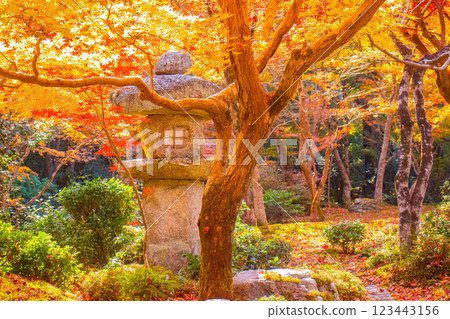 [Kyoto Scenery] Enkoji Temple - The stunning beauty of autumn leaves that you'll want to look at forever 123443156