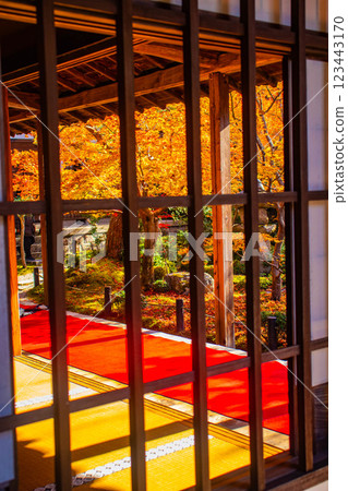 [Kyoto Scenery] Enkoji Temple - The stunning beauty of autumn leaves that you'll want to look at forever 123443170