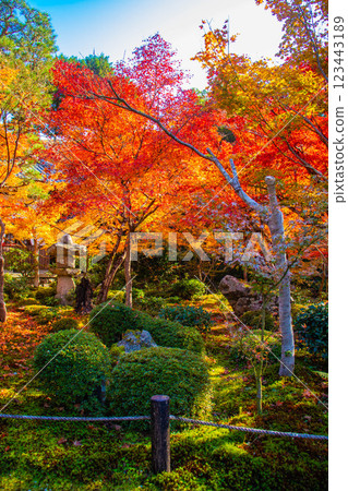 [Kyoto Scenery] Enkoji Temple - The stunning beauty of autumn leaves that you'll want to look at forever 123443189