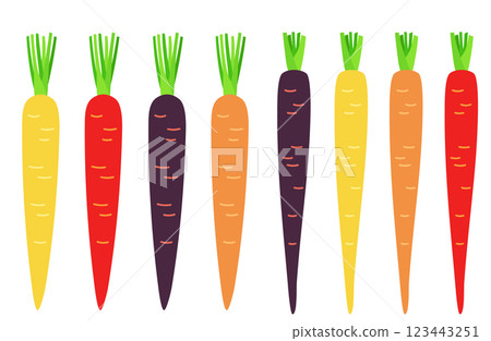 插畫：胡蘿蔔 各種類型的胡蘿蔔套裝 123443251