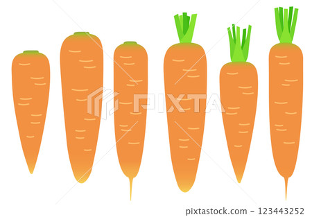 插畫材料:胡蘿蔔-各種形狀的胡蘿蔔套裝 插畫材料:胡蘿蔔-各種形狀的胡蘿蔔套裝 123443252