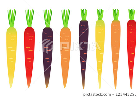 Illustration material: Carrots Various types of carrots set Illustration material: Carrots Various types of carrots set 123443253