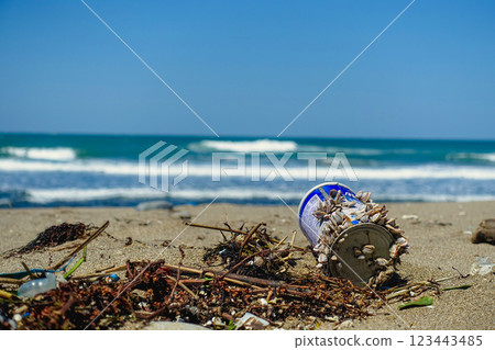 海灘上的廢棄鐵罐與海洋污染對生態的影響 123443485