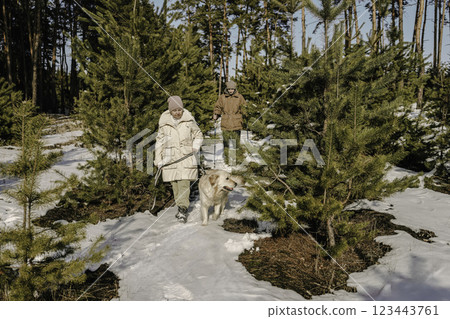 Elderly woman walking her Golden Retriever with a companion in a snowy pine forest on a sunny winter day. 123443761