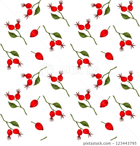 Pattern of berries and branches of rose hips with leaves and berries. Seamless pattern on a white background for printing on paper and fabric, design of packages and wrappers, wallpaper 123443795