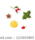 A set of herbs and spices for tea drinking. Lemon, a sprig of rose hips with berries and leaves, mint and star anise. Illustration on a white background. Clip art. Suitable for decorating kitchen 123443865