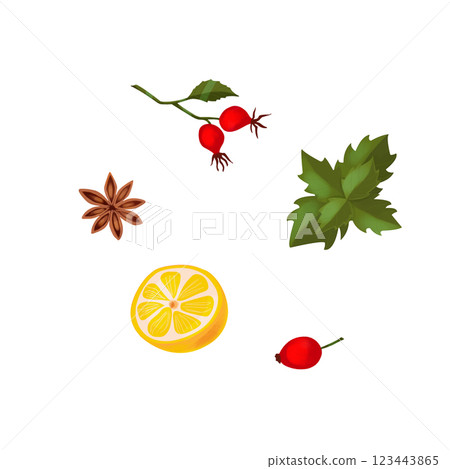 A set of herbs and spices for tea drinking. Lemon, a sprig of rose hips with berries and leaves, mint and star anise. Illustration on a white background. Clip art. Suitable for decorating kitchen 123443865