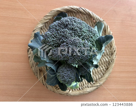 Broccoli in a colander Broccoli in a colander 123443886