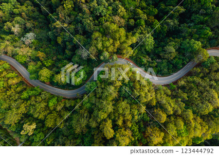 Aerial view of a green tree lined road winds through a lush landscape, mirroring the forested hills Aerial view of a green tree lined road winds through a lush landscape, mirroring the forested hills 123444792
