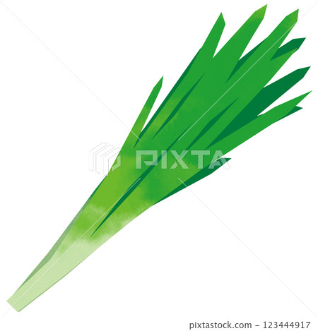 Paper-cut style chives 123444917