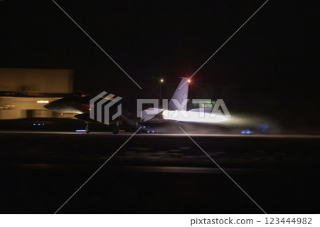 F-15 fighter plane 123444982