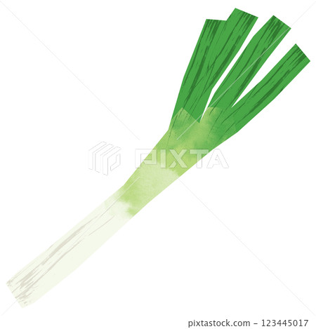 Paper-cut style green onion 123445017