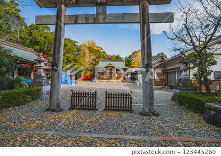田原市(愛知縣)田原城遺址巴神社鳥居風景 田原市(愛知縣)田原城遺址巴神社鳥居風景 123445260