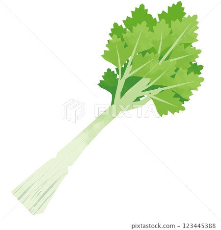 Celery in paper cut style Celery in paper cut style 123445388