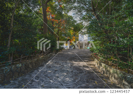 田原城櫻門和田原城遺址的紅葉（位於愛知縣田原市） 123445457