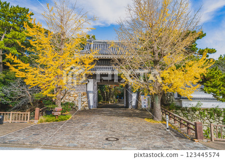 Tahara Castle Sakuramon Gate and autumn leaves at the ruins of Tahara Castle in Tahara City (Aichi Prefecture) Tahara Castle Sakuramon Gate and autumn leaves at the ruins of Tahara Castle in Tahara City (Aichi Prefecture) 123445574