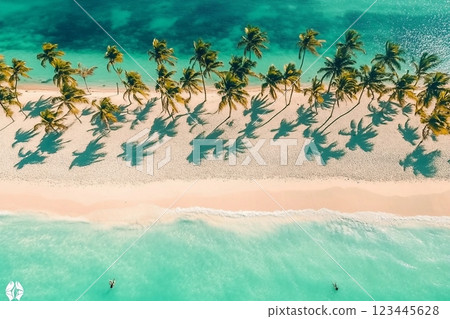 Aerial view of tropical beach. Punta Cana, Dominican Republic 123445628