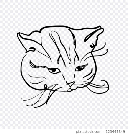 Line Art Illustration of Cat Face on Transparent Background Line Art Illustration of Cat Face on Transparent Background 123445849