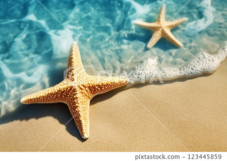Starfish on the summer beach in sea water. Summer background. Summer time. 123445859