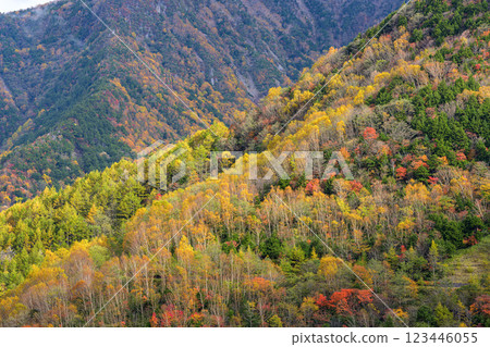 秋天的山景，色彩繽紛的樹木與雄偉的大自然形成鮮明對比 123446055