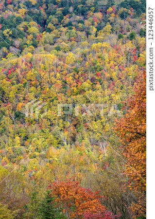 森林中紅葉的綏爛景象和雄偉的山景預示著秋季的到來 123446057